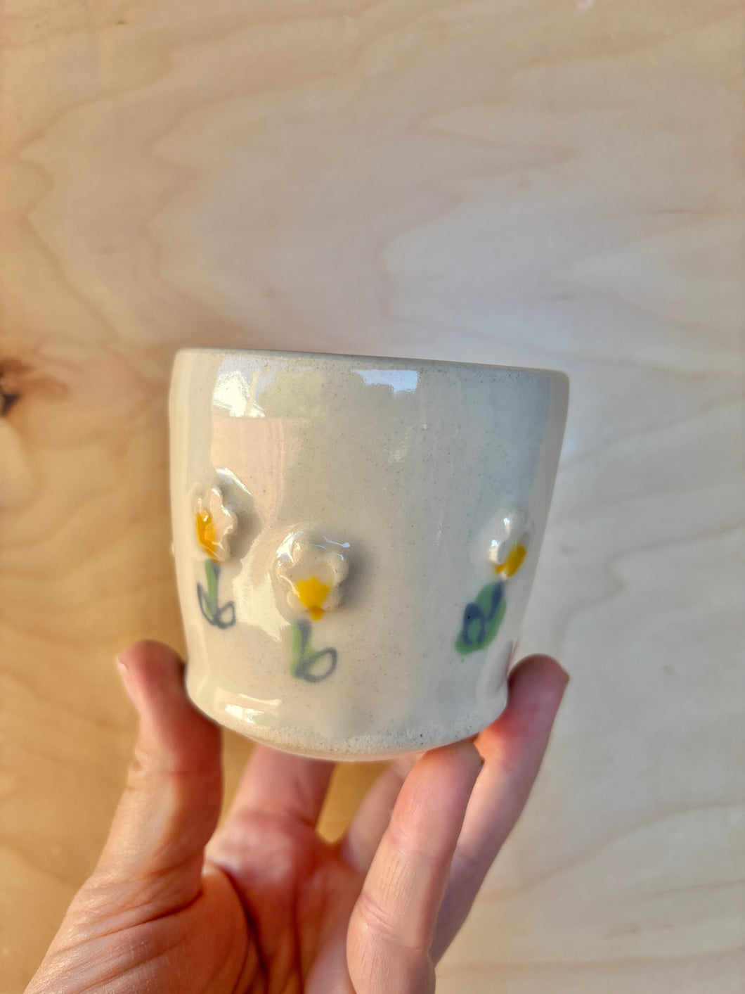 Daisy Cup